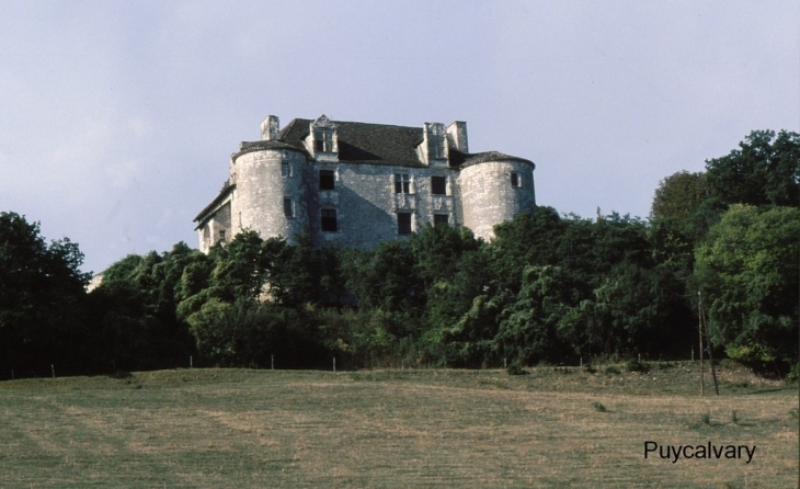 Château de Puycalvary - Dausse