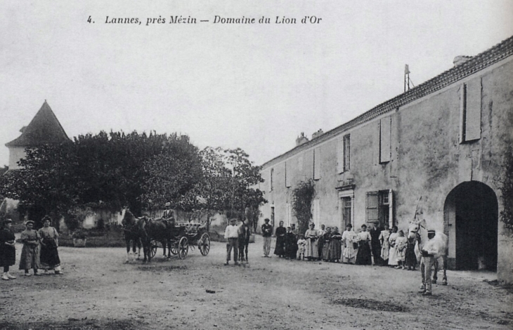 Début XXe siècle, Domaine du Lion d'Or (carte postale ancienne). - Lannes