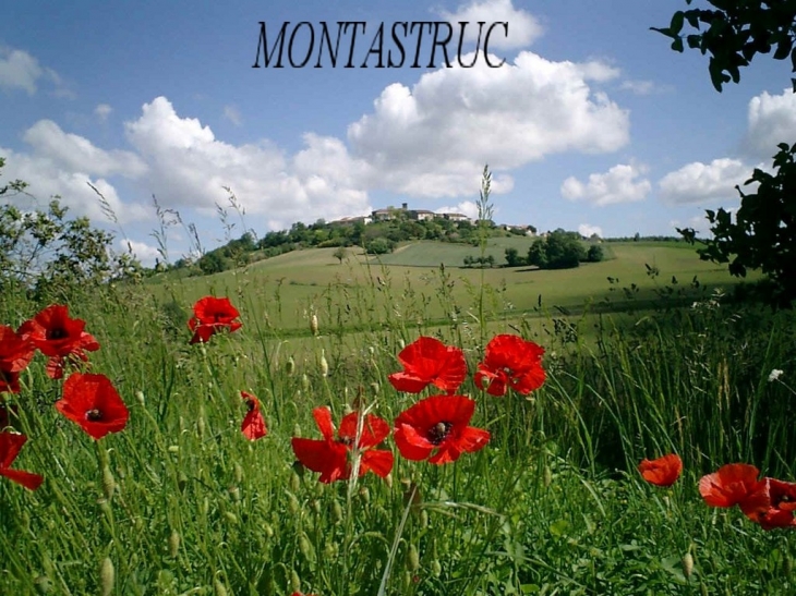 Paysage - Montastruc