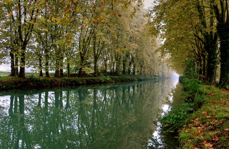 Le Canal Latéral à la Garonne - Montpouillan