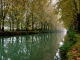 Photo précédente de Montpouillan Le Canal Latéral à la Garonne