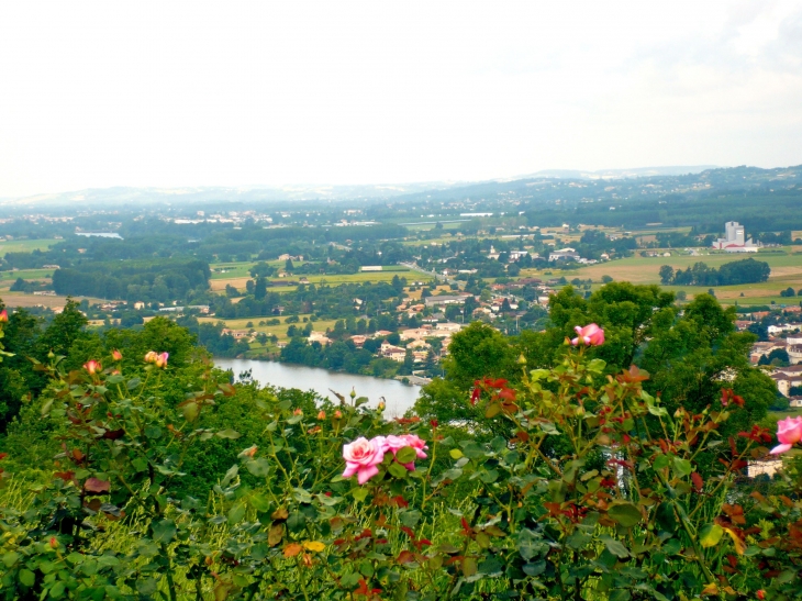 Vue sur la vallée du Lot - Penne-d'Agenais
