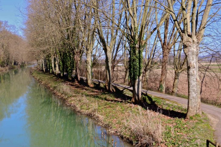 Les bords du canal latéral à la Garonne. - Puch-d'Agenais