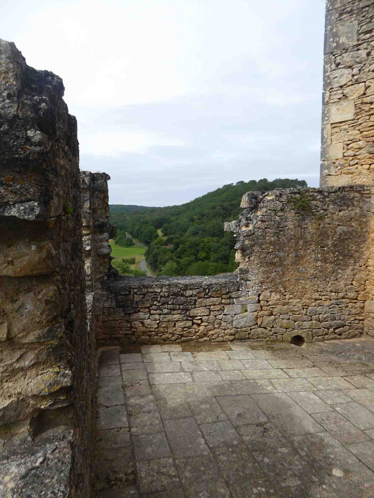 Château de Bonaguil : la basse cour - Saint-Front-sur-Lémance