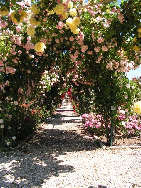 Roseraie/Jardin des sculptures Cocar - Sainte-Livrade-sur-Lot