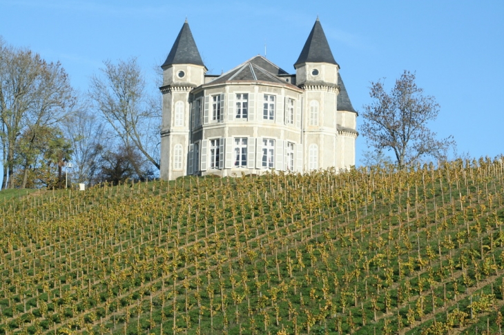 Chateau et vignoble - Bizanos