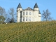 Chateau et vignoble