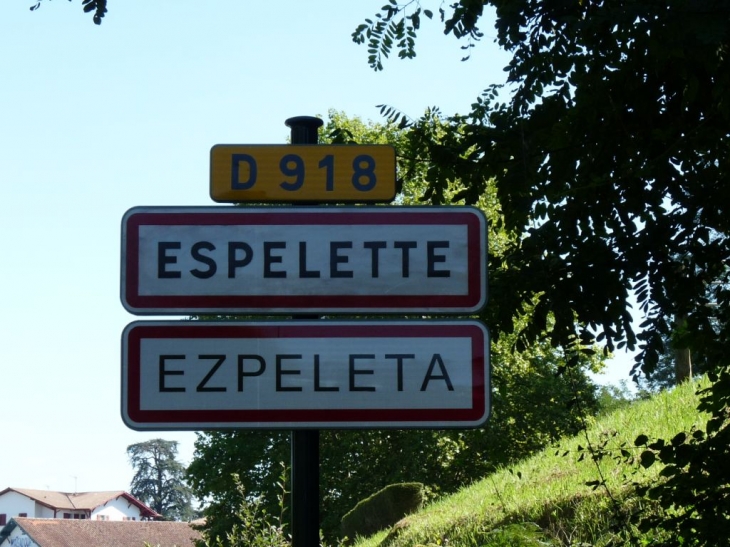 La commune - Espelette