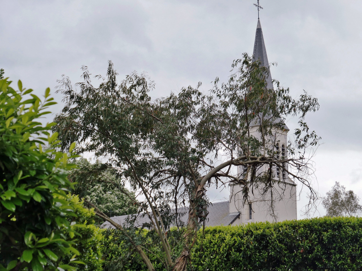 Le clocher derrière les arbres - Laà-Mondrans
