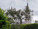 Photo suivante de Laà-Mondrans le clocher derrière les arbres