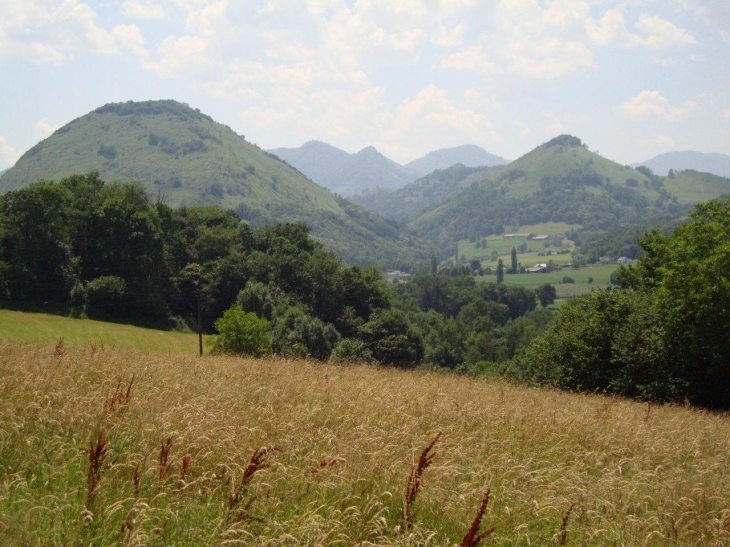 Laguinge-Restoue (64470) à Restoue, paysage
