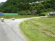 Photo précédente de Louvie-Soubiron les moutons au pied du village
