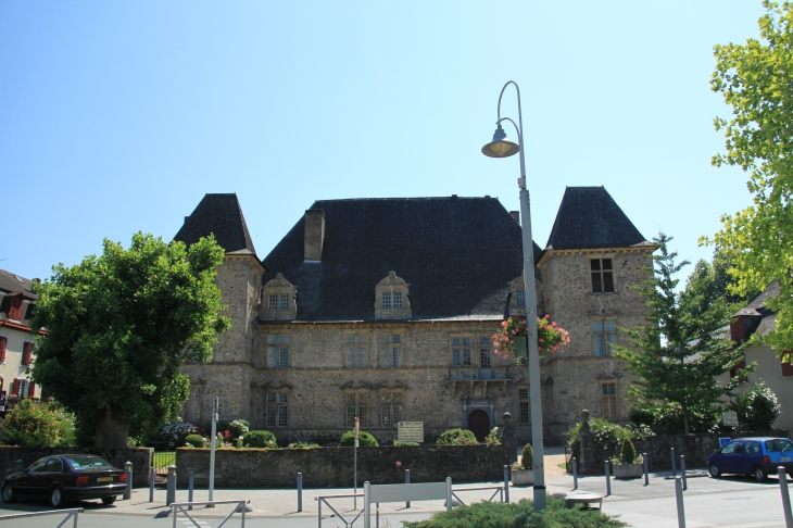 Chateau  Maytie d'andurian - Mauléon-Licharre