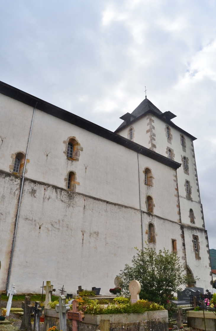 -église Saint-Martin ( au premier plan deux Stèles Discoïdales ) - Sare