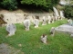 Photo précédente de Ustaritz  Ustaritz, vieilles stèles basques regroupés au cimetière
