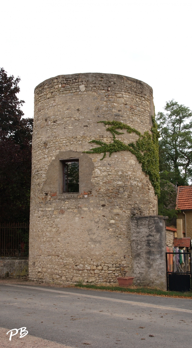 Tour du Château ( 12 Em Siècle ) - Bègues