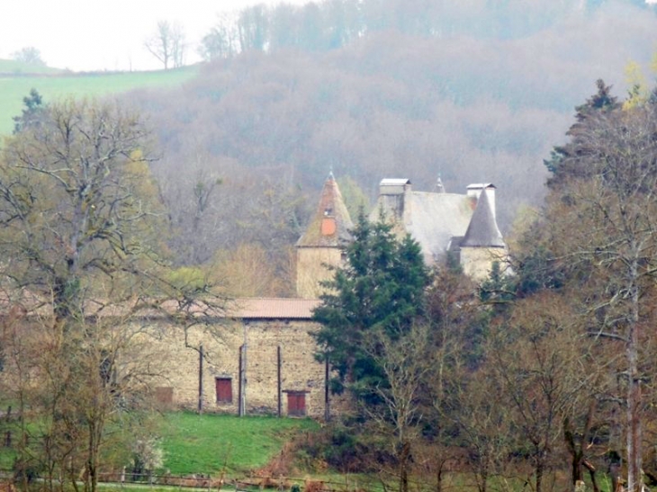 Le château - Ferrières-sur-Sichon