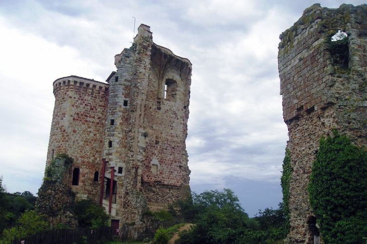 Les ruines du château - Hérisson