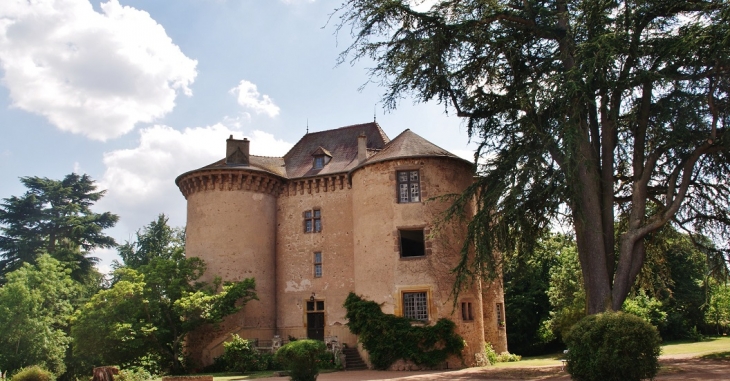 Château de Montaiguët - Montaiguët-en-Forez