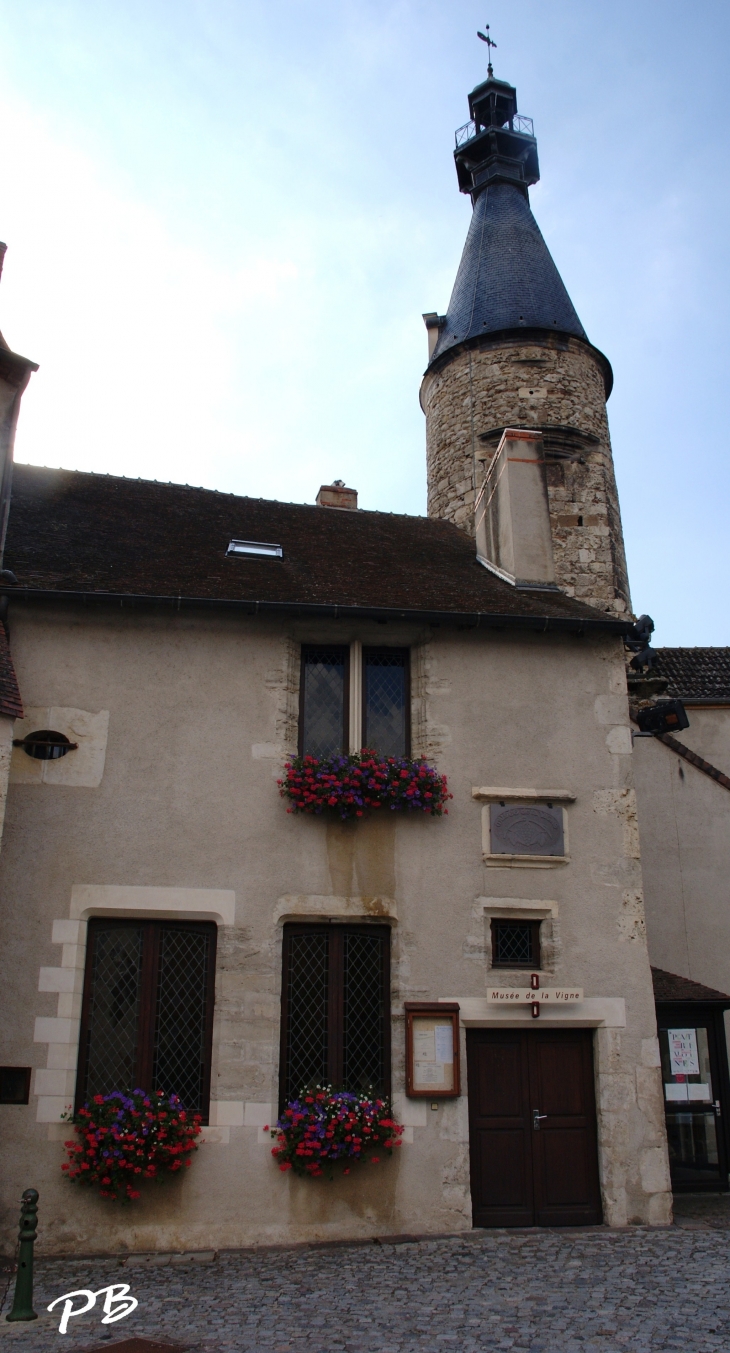 Musée de la Vigne - Saint-Pourçain-sur-Sioule