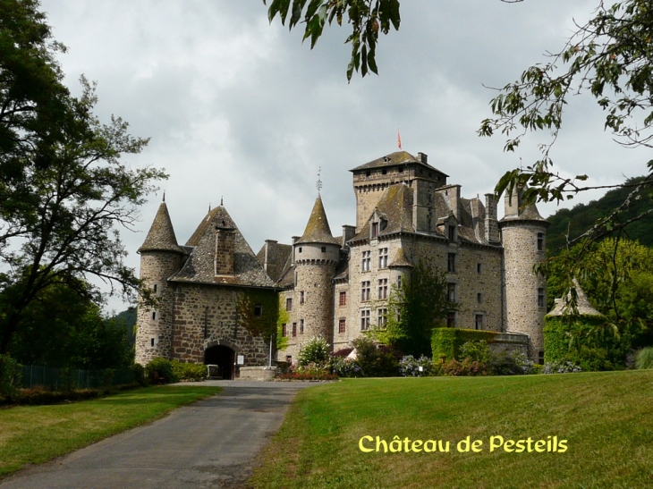 Château de Pesteils - Polminhac