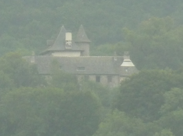 Vague aperçu du château de Vixouze - Polminhac