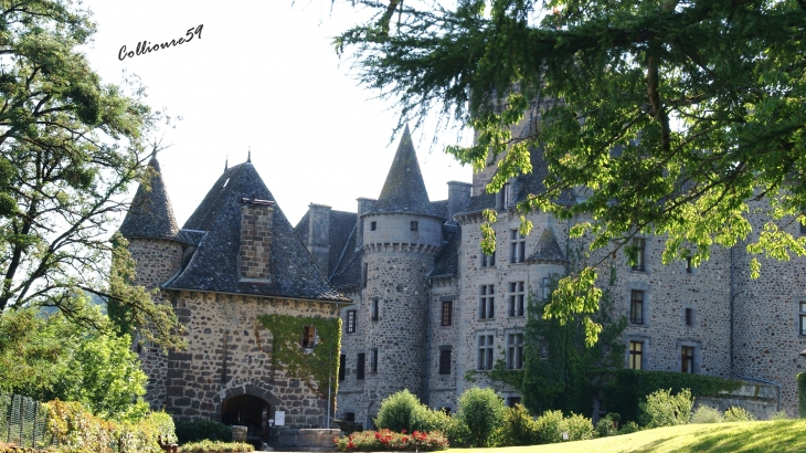 Chateau de Pesteils - Polminhac