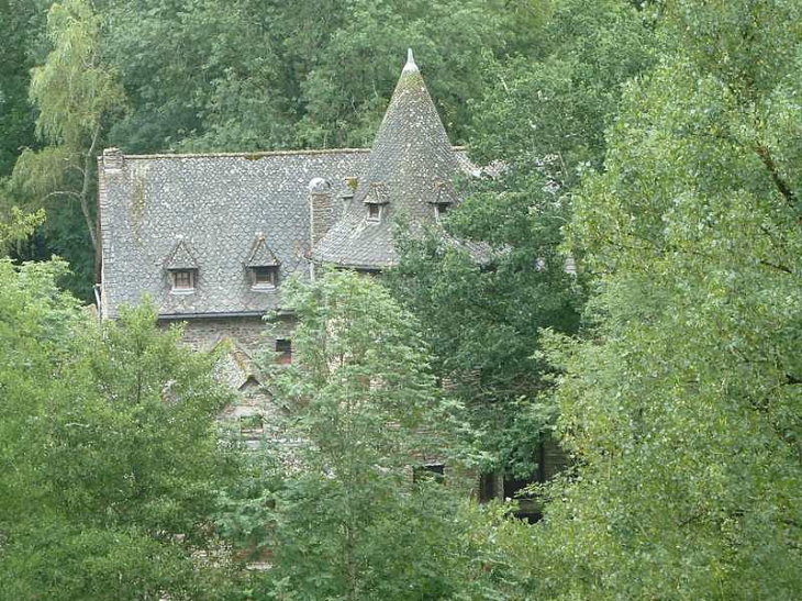 Le château - Roannes-Saint-Mary