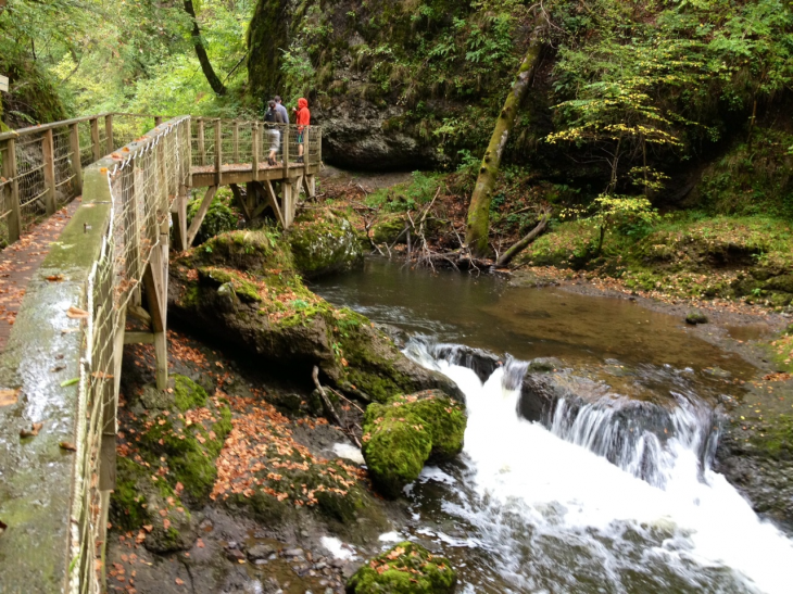 Gorges de la Jordanne. - Saint-Cirgues-de-Jordanne