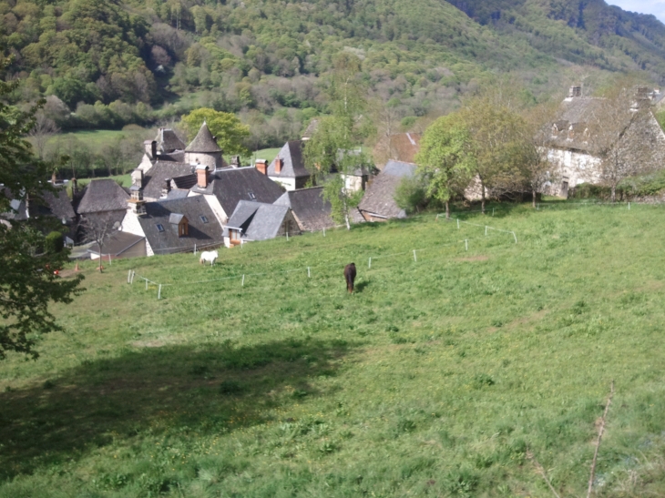 La magnifique vallée du mars, st vincent sous la verdure - Saint-Vincent-de-Salers