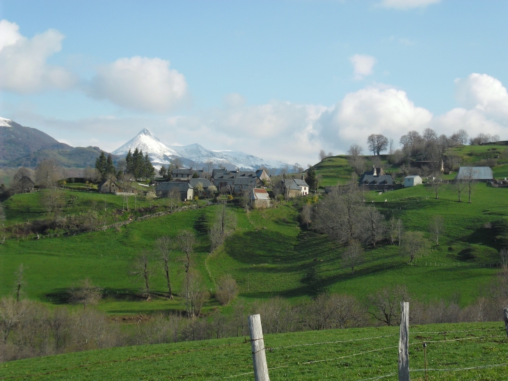Village de Niervèze au printemps - Thiézac