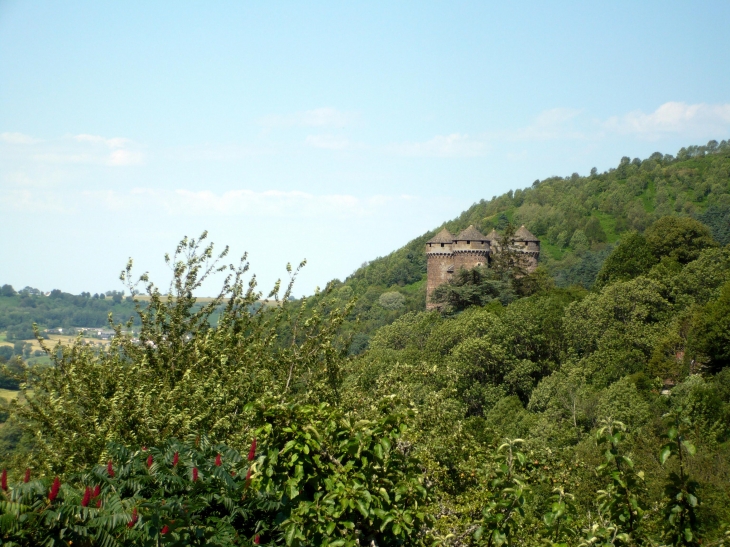 Le château d'Anjony est un château fort, XVe - XVIIIe siècles. - Tournemire