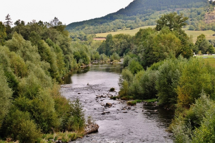 La Loire - Coubon