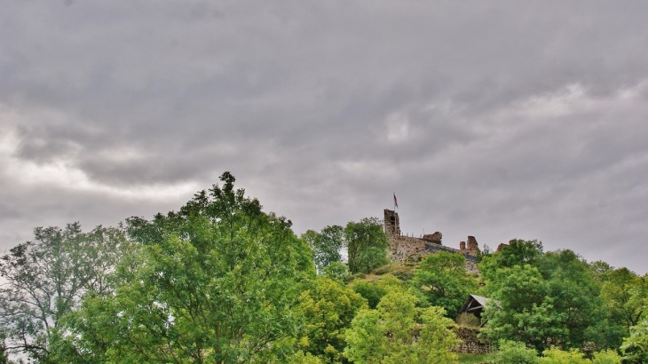 Ruines du Château - Goudet