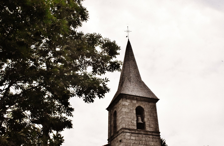 __église Saint-Mary - La Besseyre-Saint-Mary