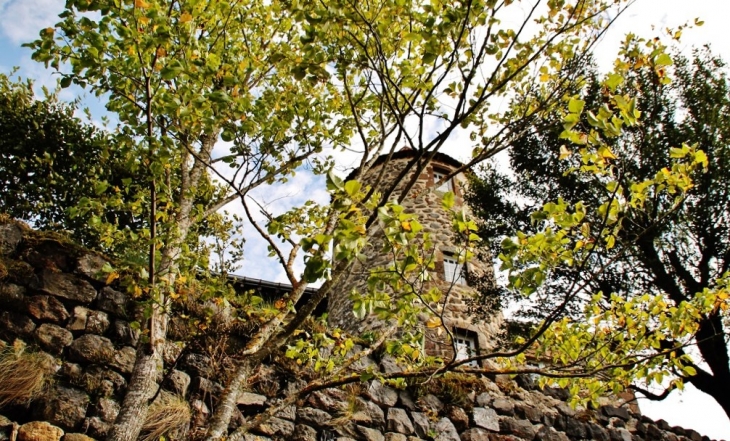 Le Château - Saint-Didier-d'Allier