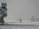 Photo suivante de Saint-Jean-Lachalm Saint Jean Lachalm - paysage de neige