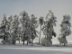 Saint Jean Lachalm - paysage de neige