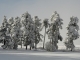 Saint Jean Lachalm - paysage de neige