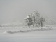 Photo précédente de Saint-Jean-Lachalm Saint Jean Lachalm - paysage de neige