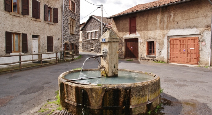 Fontaine - Solignac-sur-Loire