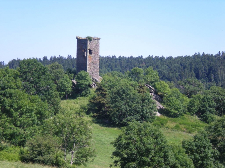 La tour de besse - Anzat-le-Luguet