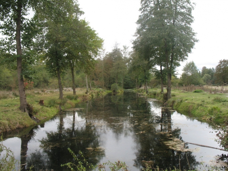 L'étang de Beaulieu