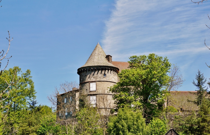 Le Château - Ceyssat