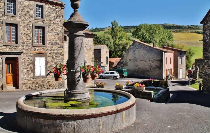 La Fontaine et Le Lavoir - Clémensat