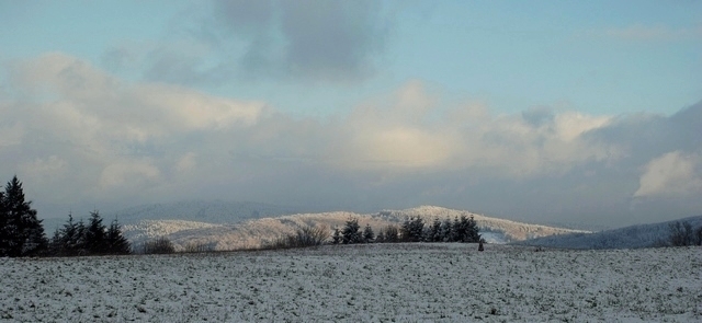 Paysage enneigé sur Lachaux