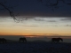 Photo suivante de Lachaux chevaux