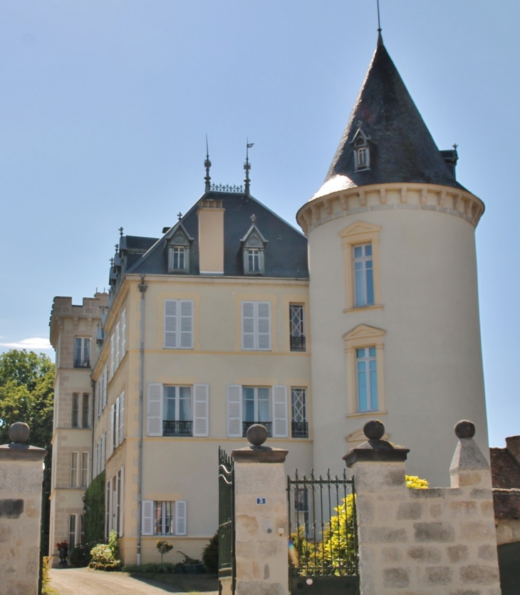 Château - Montel-de-Gelat