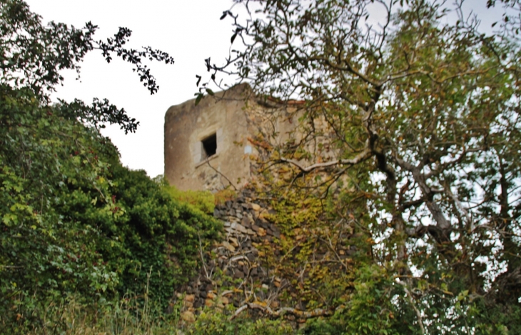 Vestige de L'Ancien Château - Nonette