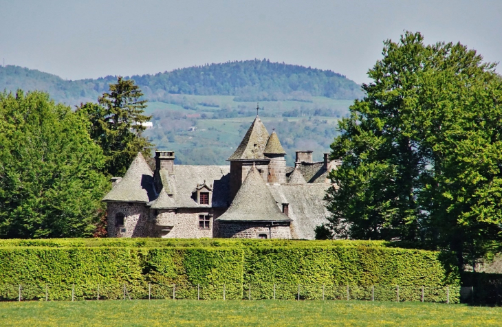 Le Château - Orcival